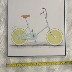 Lime Fruit Bicycle Framed Art