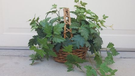 Decorative artificial plant