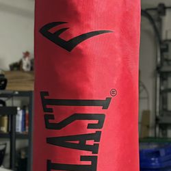 Punching Bag Everlast Hanging MMA Boxing Training