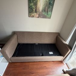 Crate & Barrel pull out couch