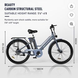 Electric Bike 