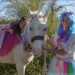 Unicorn 