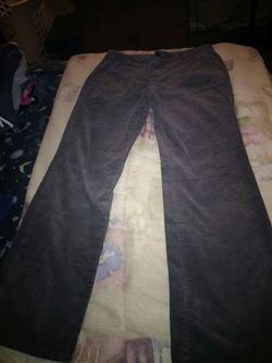 Eddie Bauer Pants