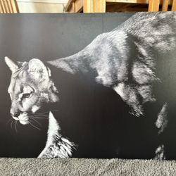 Beautiful Animal Portrait 