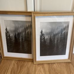 Two 8x10 Picture Frames 