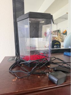 2 gallon fish tank