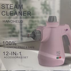 Steam Cleaner 
