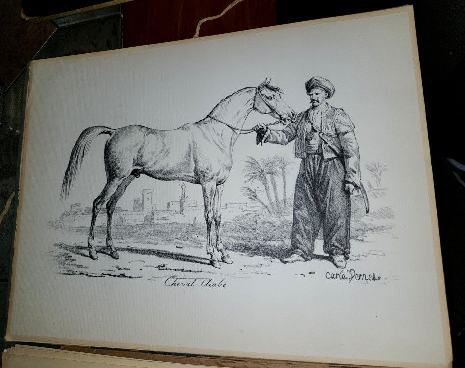 Rare! Carle Vernet Portfolio Of Equestrian Lithographs 1948