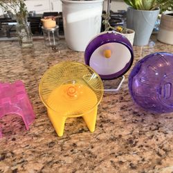 Two Hamster Wheels, Exercise Ball, and Small House