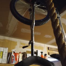 Unicycle