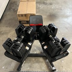 Bowflex Dumbbell + Stand + Bench