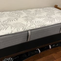 Twin Bed, Box Spring and Mattress