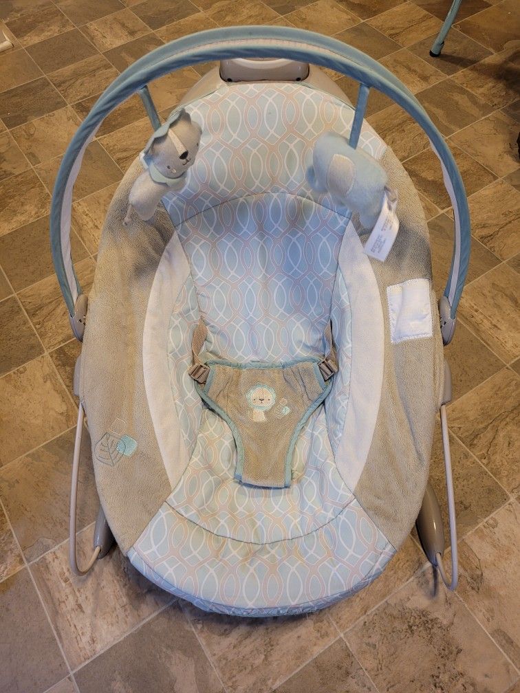 Baby Bouncer