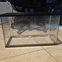 20 Gallon Tank