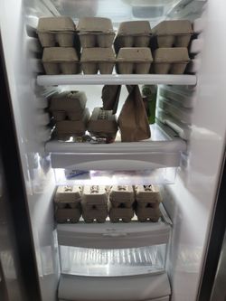 Fresh eggs
