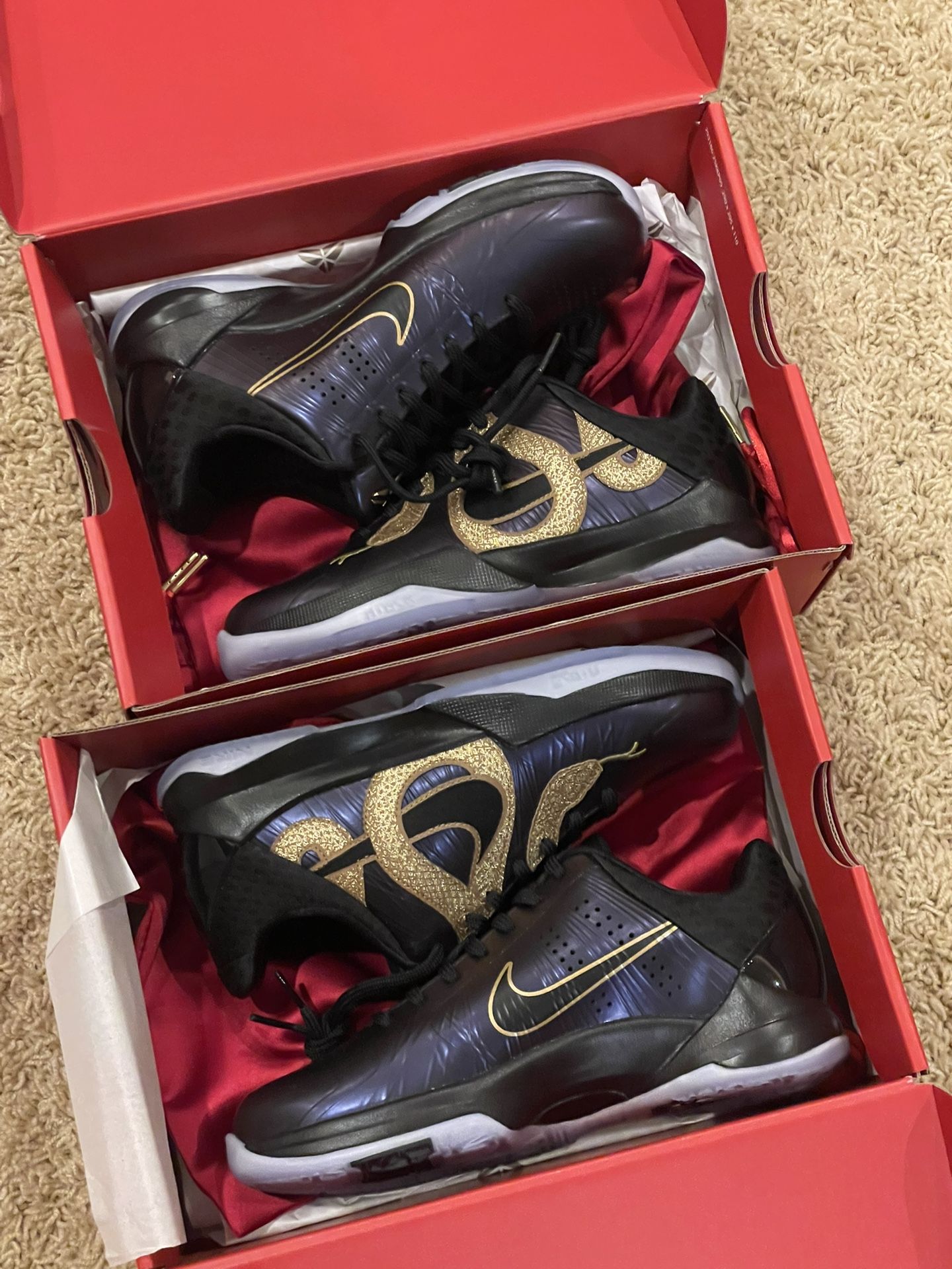 Kobe 5 Year Of Mamba Eggplant