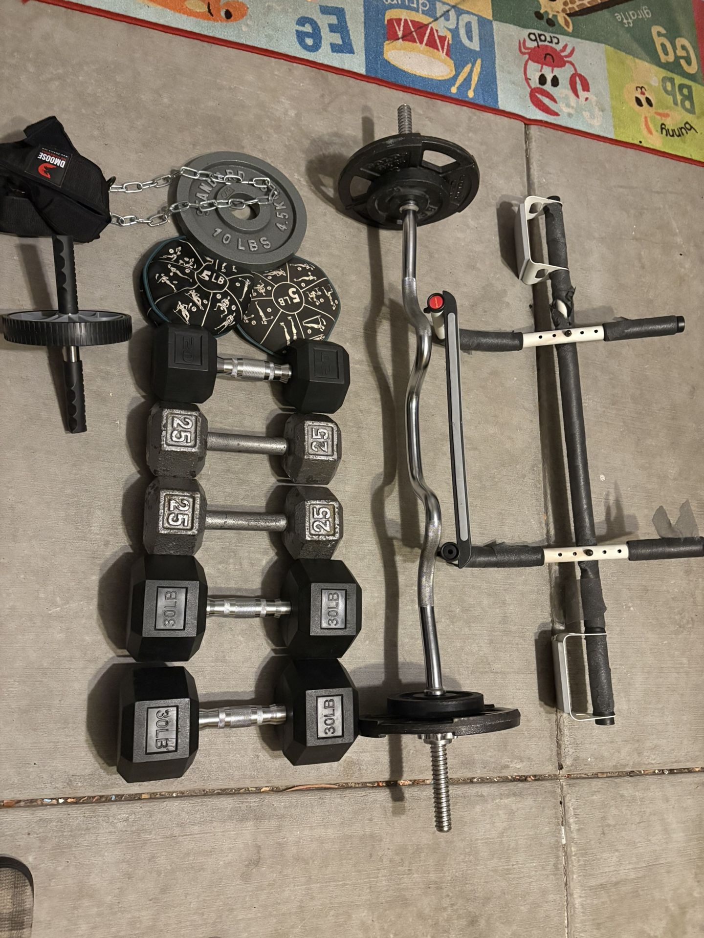Weights/Dumbells
