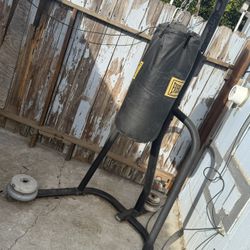 Punching Bag & Stand