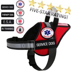 Time for a new Service Dog harness? Reflective, patches, no pull handle, ID pocket and more!