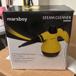 Steam cleaner 