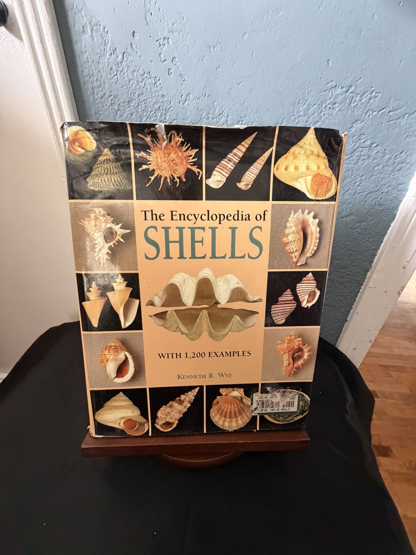 The Encyclopedia of Shells By Kenneth R. Wye - Hardcover Book