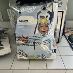Bluey Costume