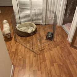 Puppy Kennel