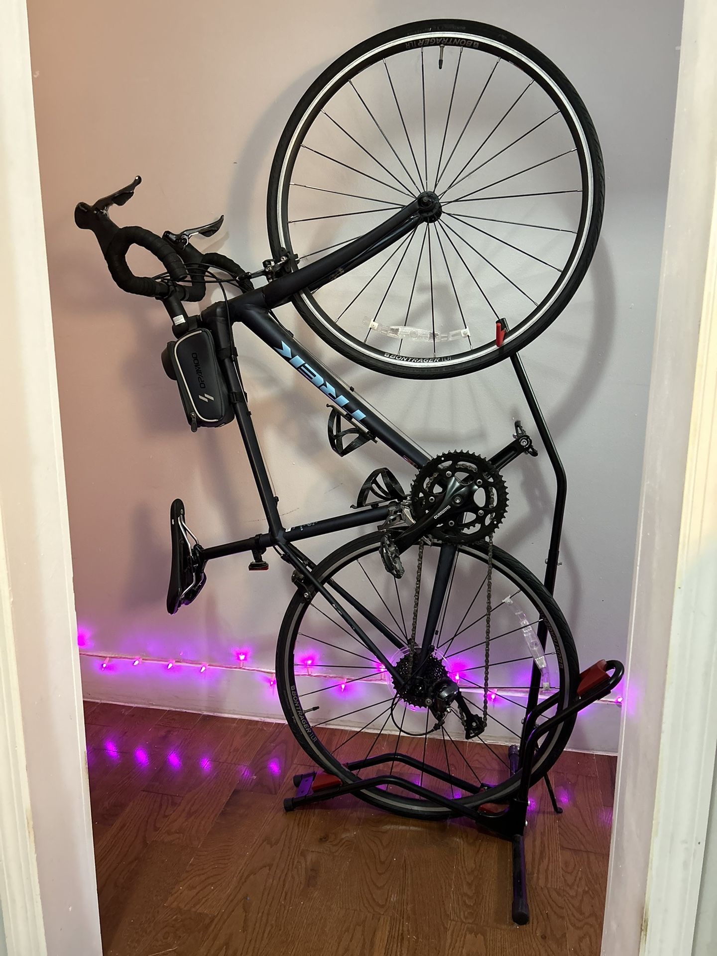 Trek Domane AL 2 Women’s Road Bike