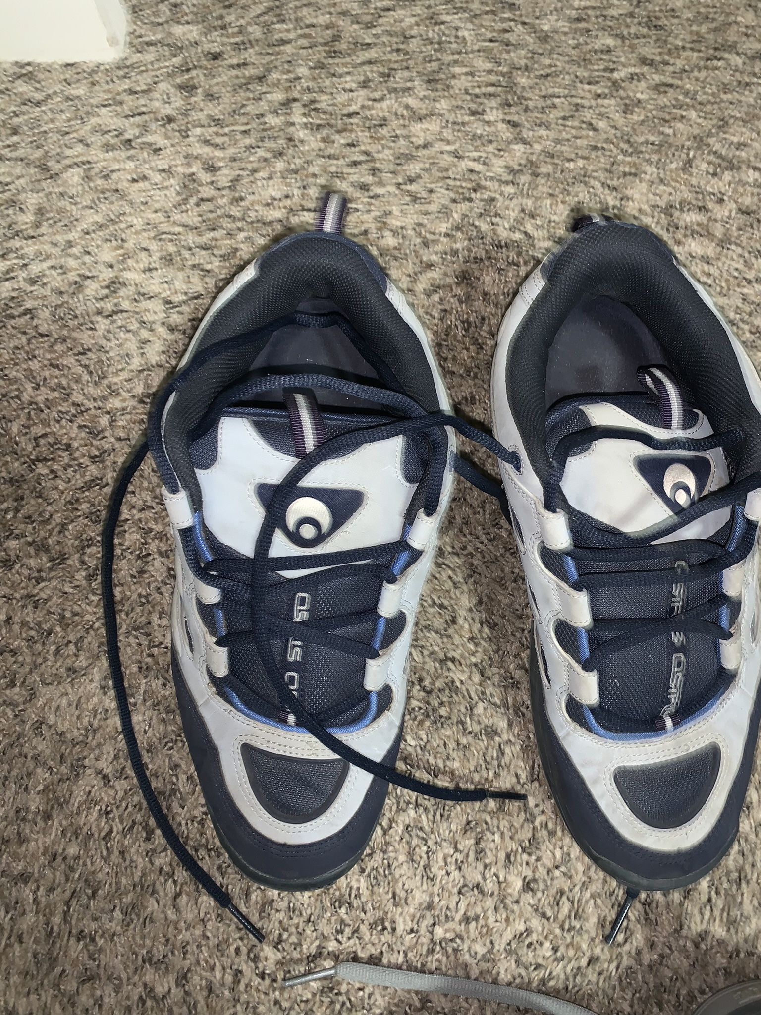 Vintage Skate Shoes