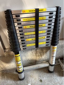 Collapsible Ladder