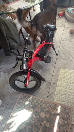 Boys Brand New Bike Electric