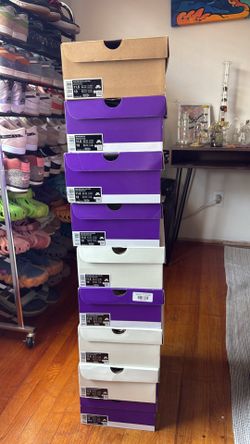 Nike SB size 11.5