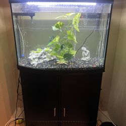 Large Fish Tank 