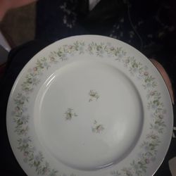 Fine China 