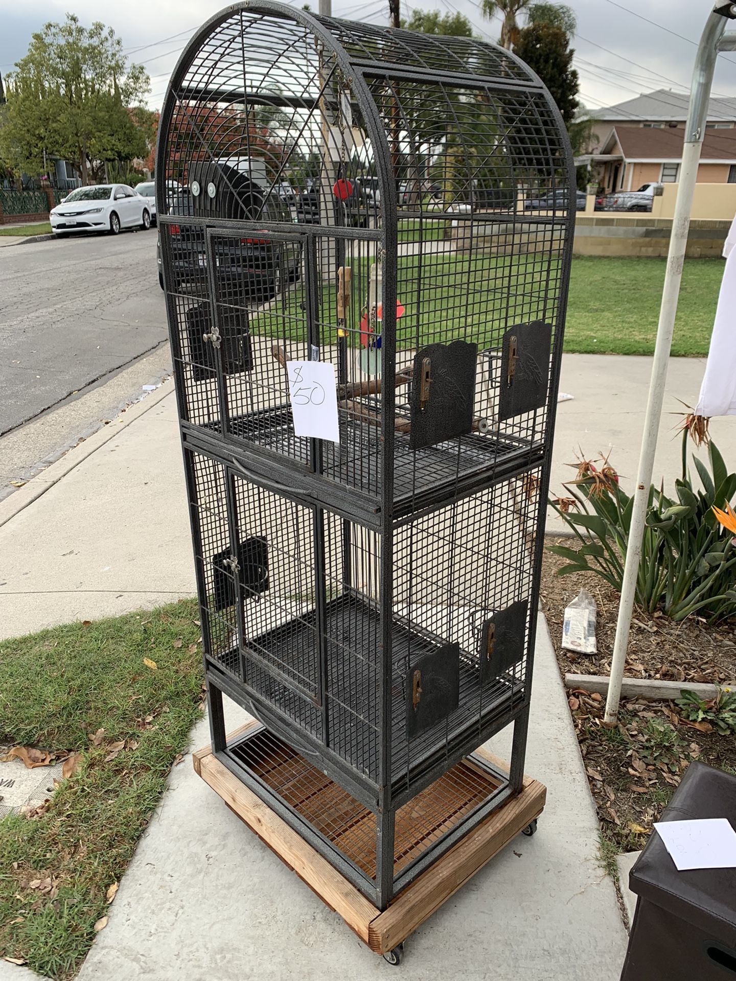 Large Parrot 🦜 Cage