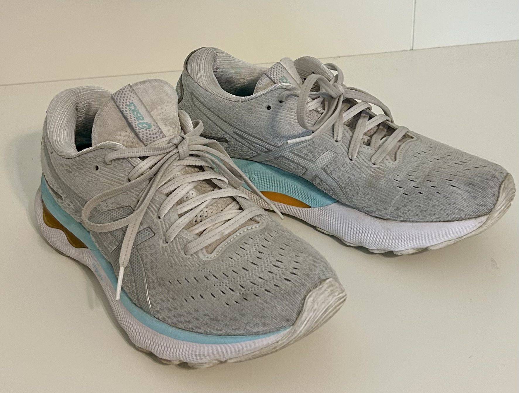 ASICS Gel-Nimbus 24 in women’s size 8.5