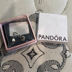 Pandora Charm