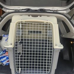 Large Dog Kennel