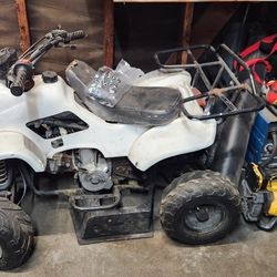 110 Coolster For Sale!