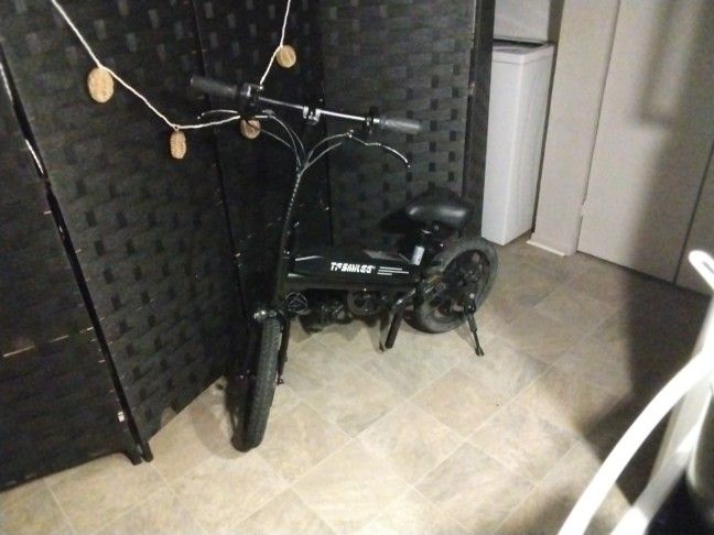 TFSmilee S5 Ebike