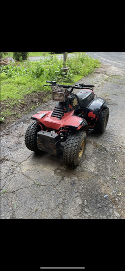 Quad