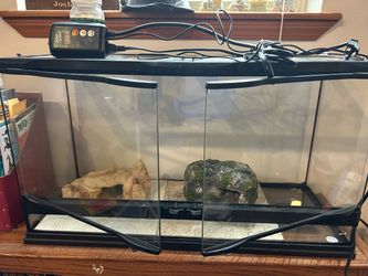 Zoo Med Reptile Tank