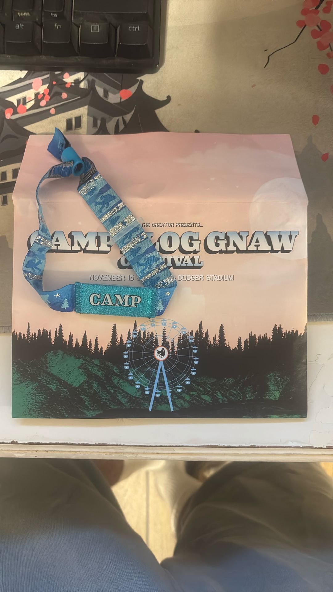 Camp Flog Gnaw wristband for sale