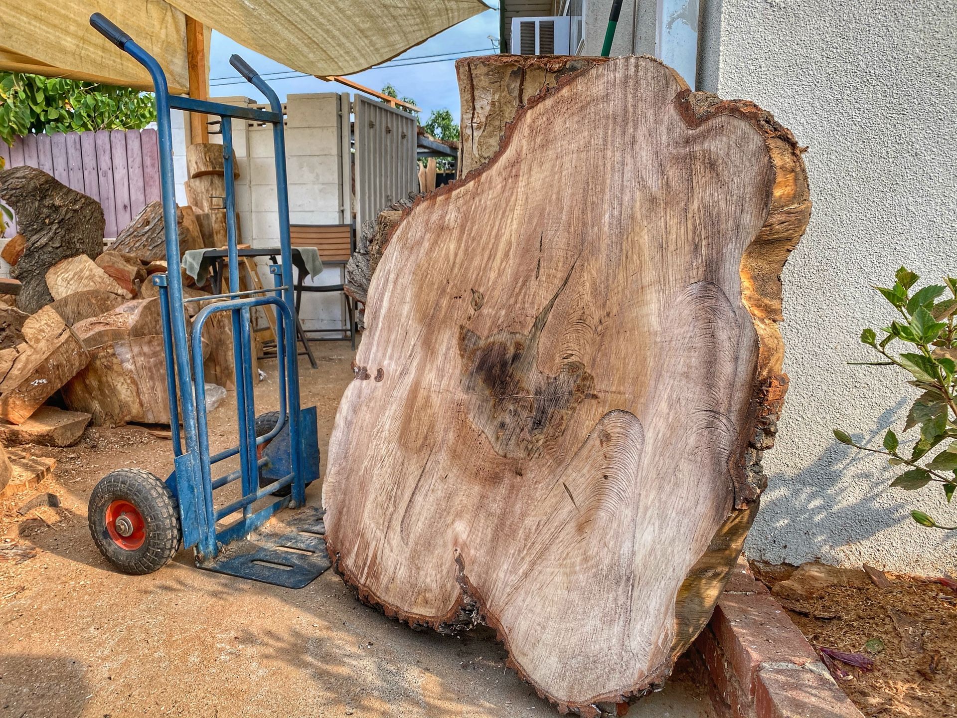 Various Rough cut wood slabs for woodworking, live edge, tables, coffee tables, etc-updated 6/18/25