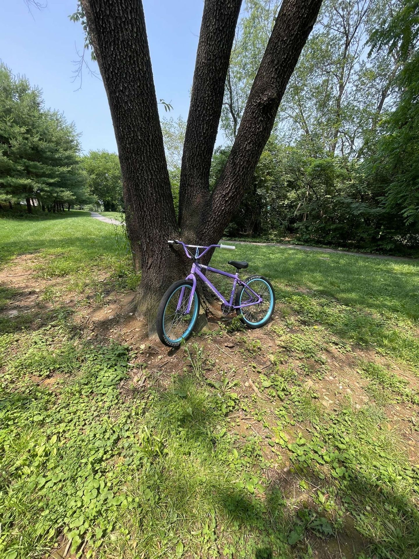 Se Bike