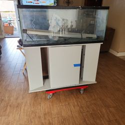 Fifty five gallons aquarium 