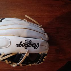 Rawlings Fastpitch Softball Glove 
