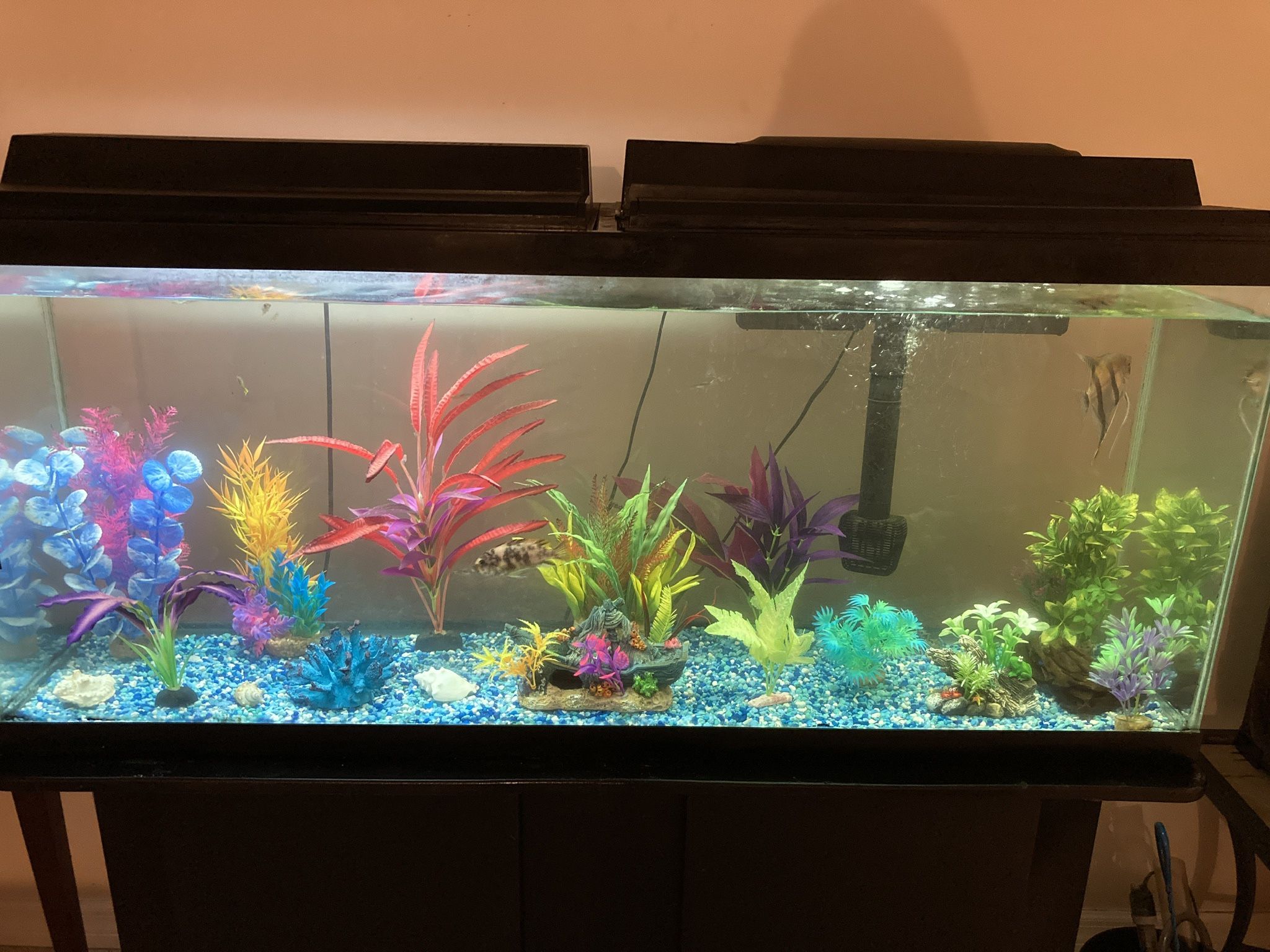 55 Gallon Aquarium With Stand & Accessories
