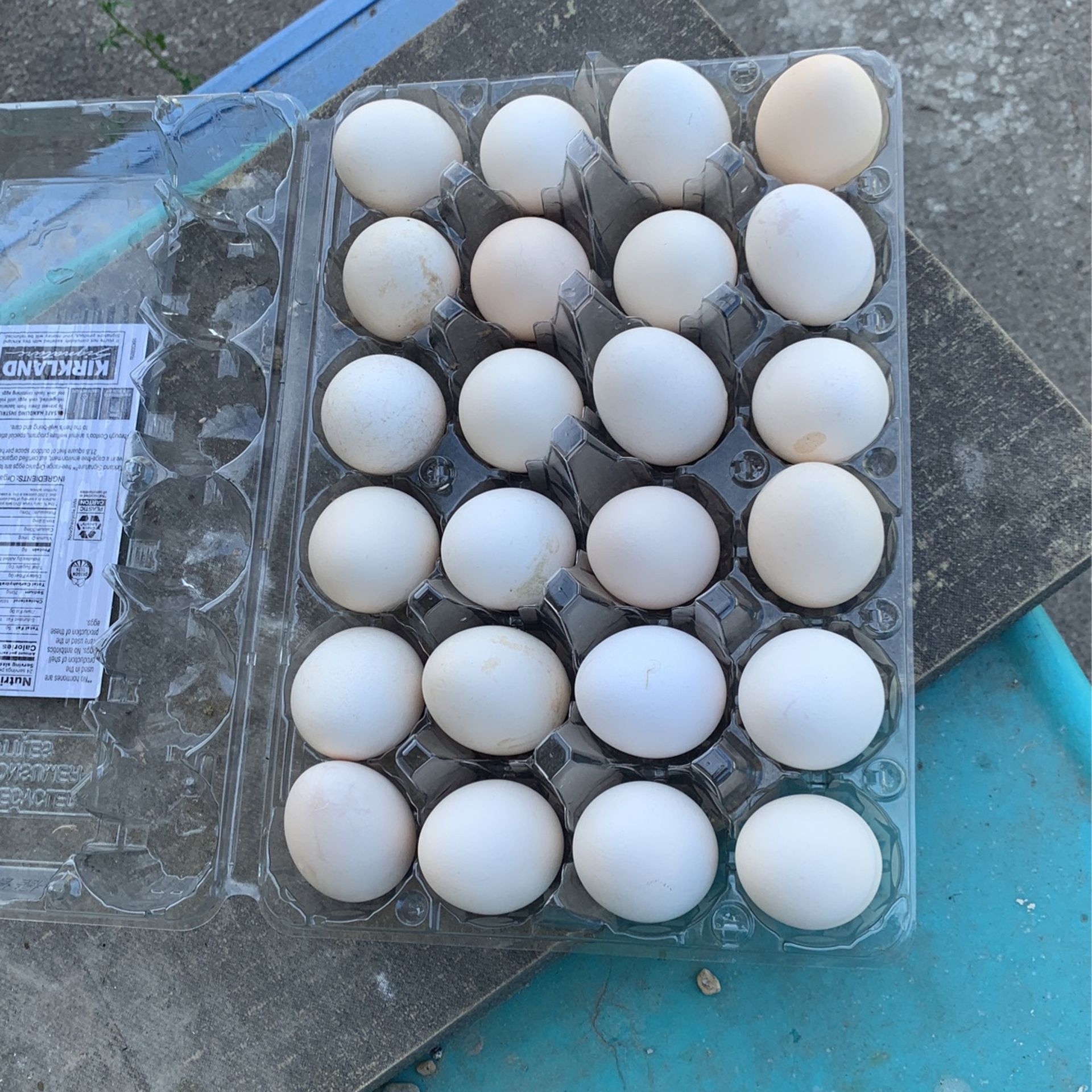 Eggs For Sale