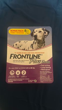 For big and small dogs